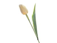 Tulipán svazek 11ks krémový 44cm